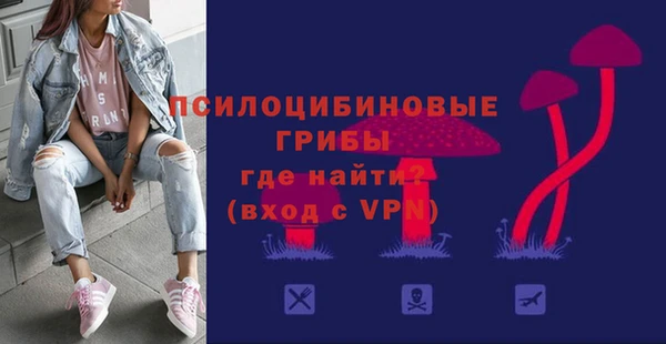 гидра Балахна