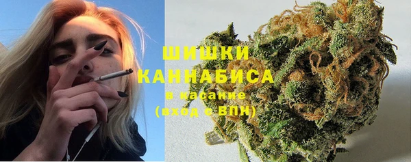 гидра Балахна