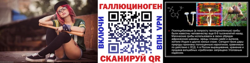 купить   Себеж  дарк нет как зайти  Галлюциногенные грибы Psilocybe 