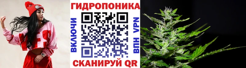 МАРИХУАНА OG Kush Себеж